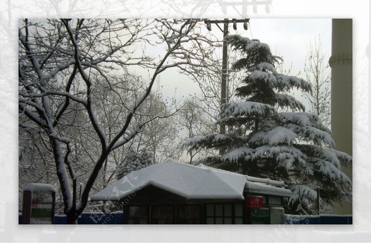 城市雪景图片