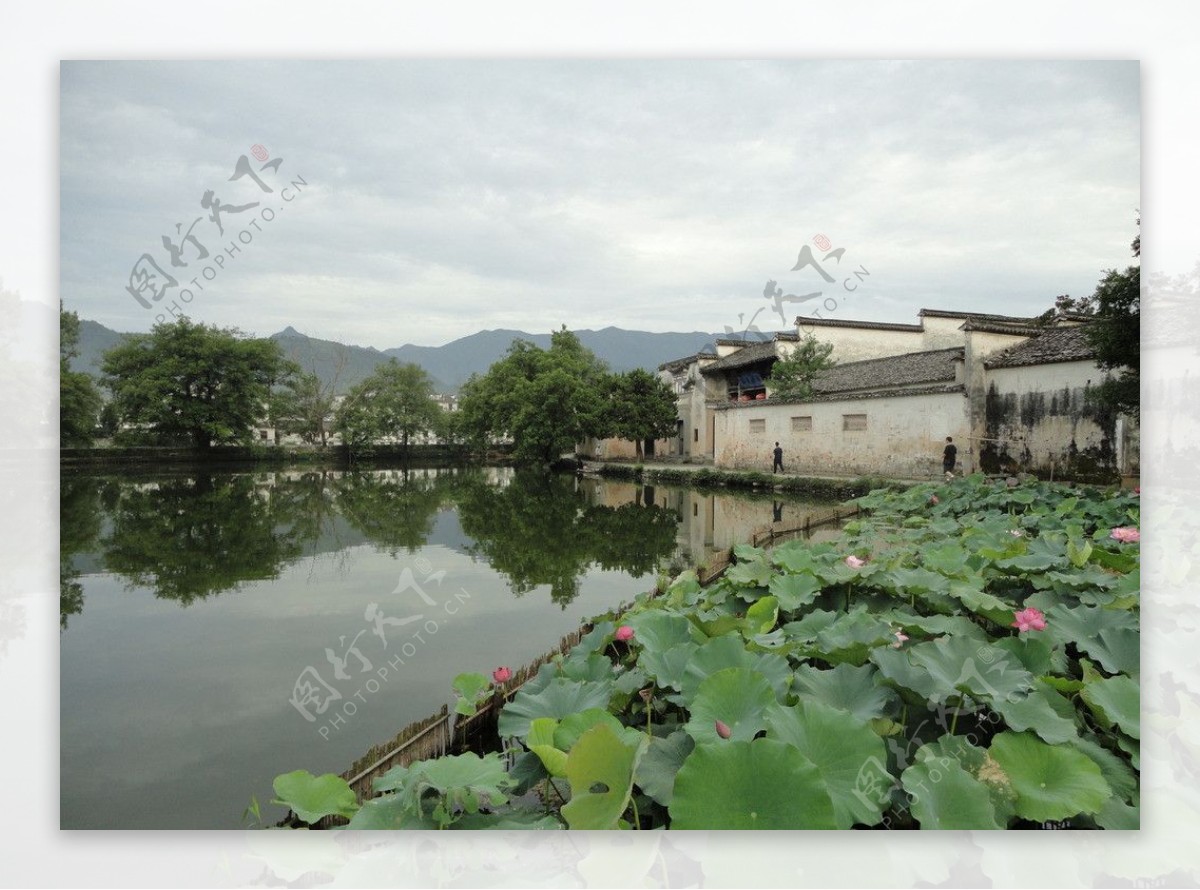 南湖景观图片