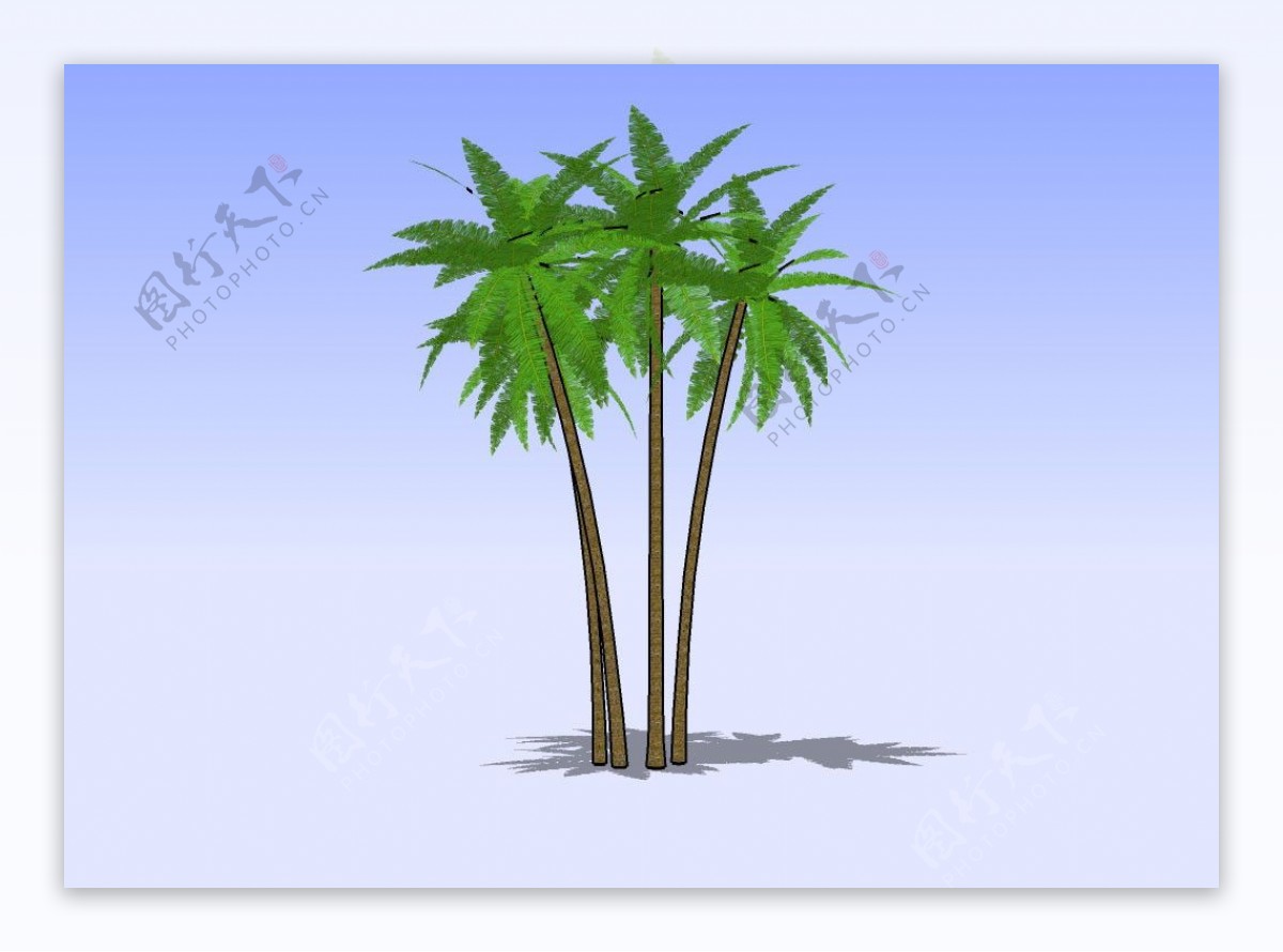 杂树3D模型图片