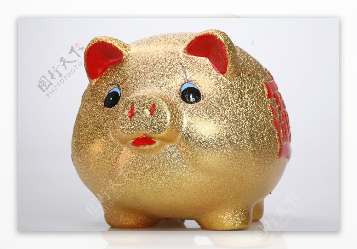 金猪存钱罐图片