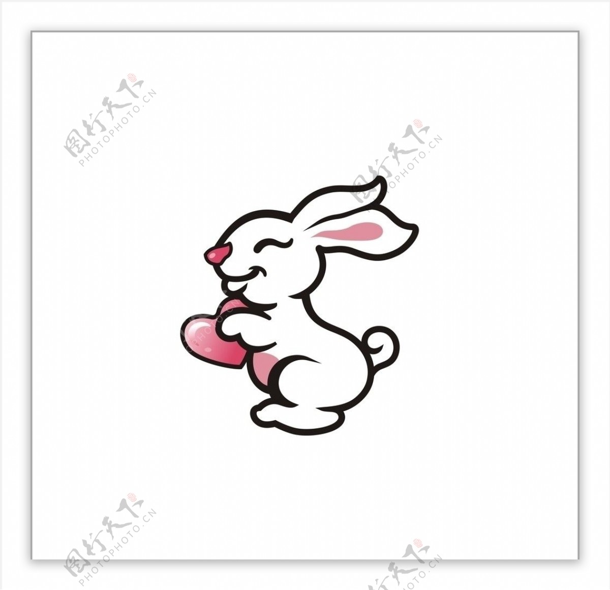 兔生肖生肖兔乖巧兔图片