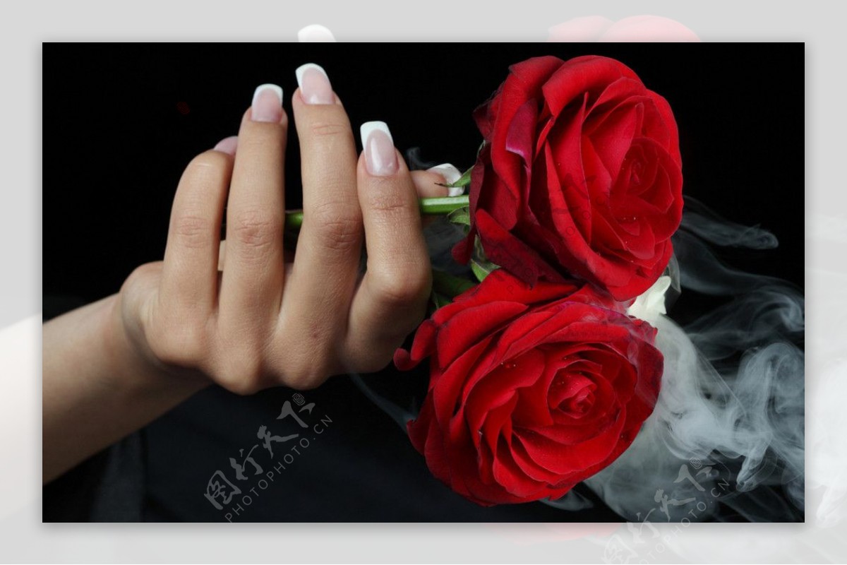 美甲玫瑰图片
