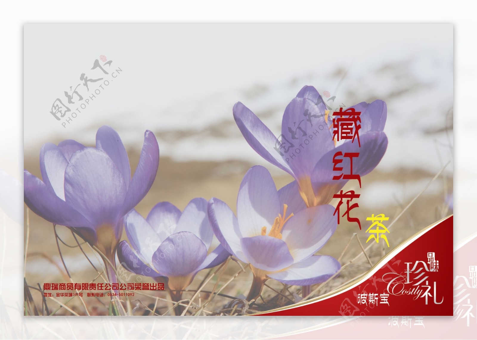 藏红花画册图片