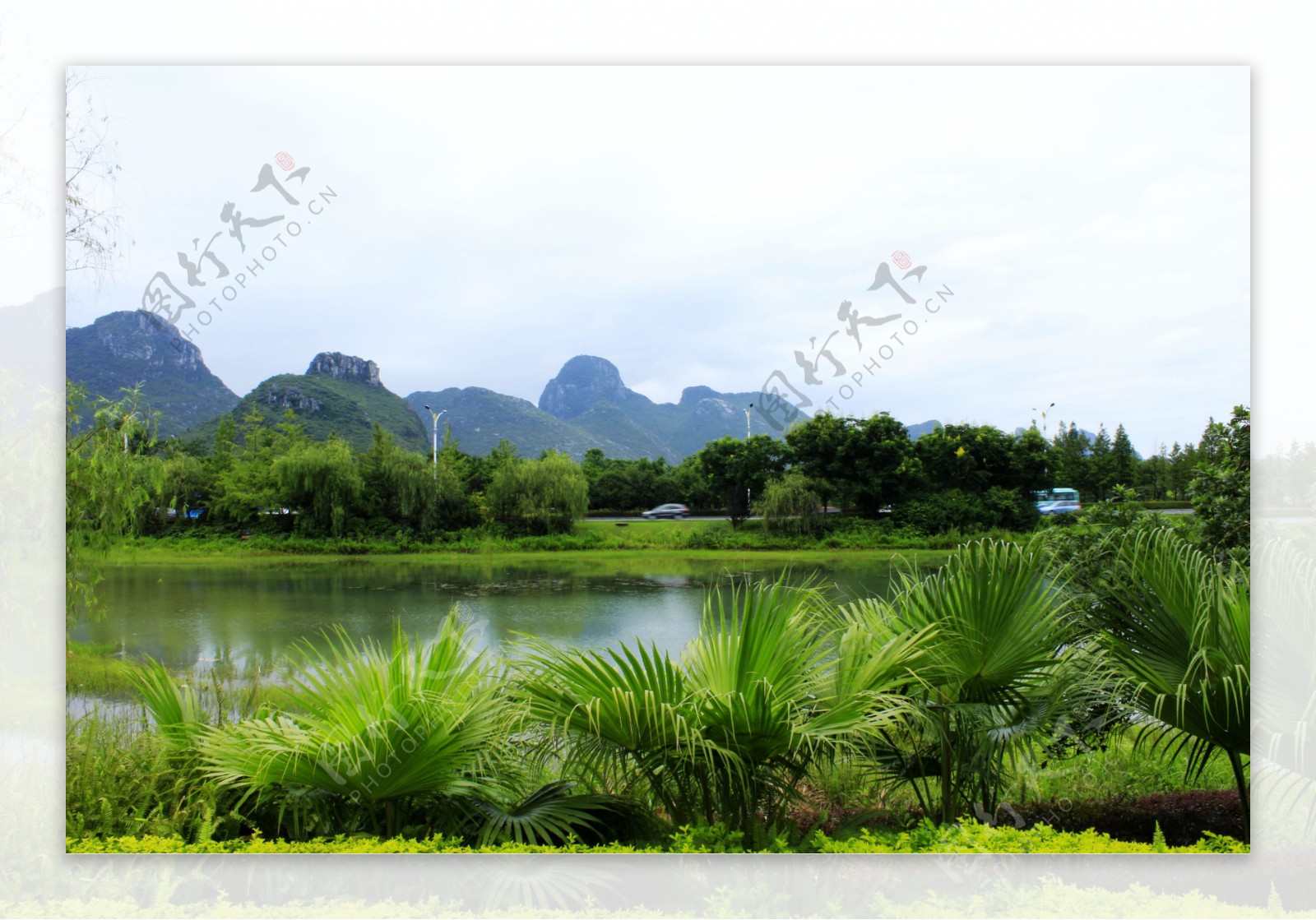 琴潭周边绿化图片