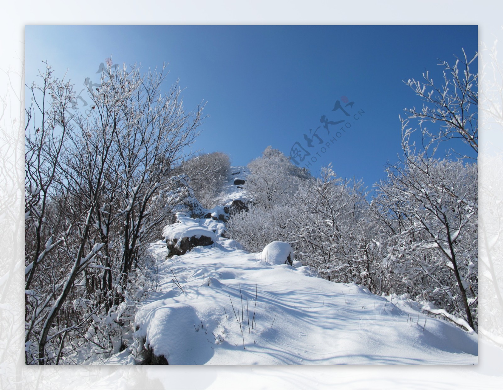 冬天里的雪景图片