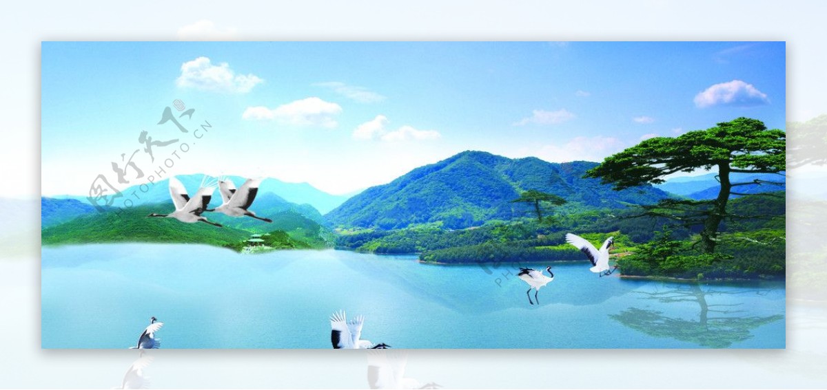 松鹤风景画广告素材图片
