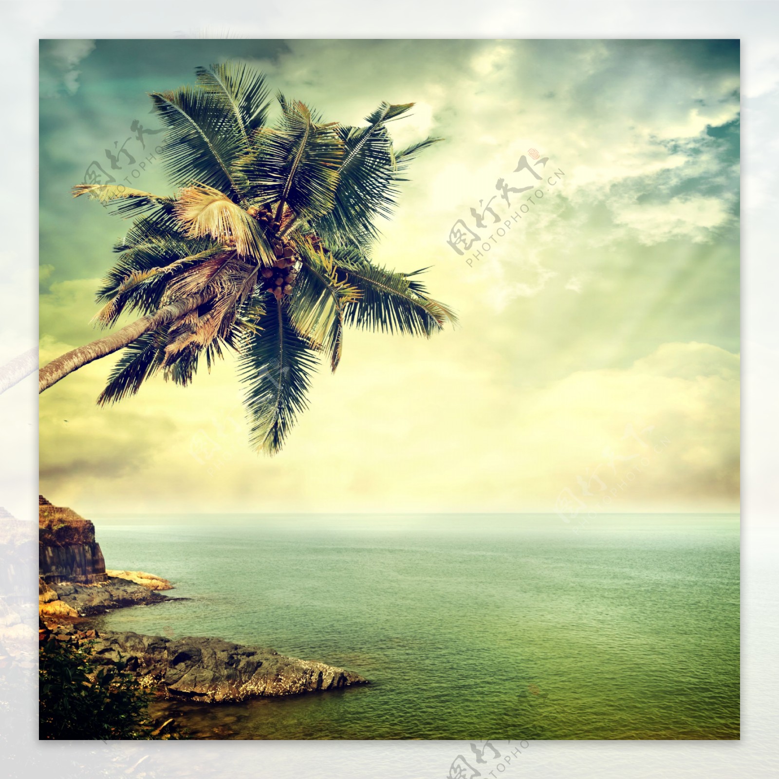 椰树与沙滩风景摄影图片素材-编号27121737-图行天下
