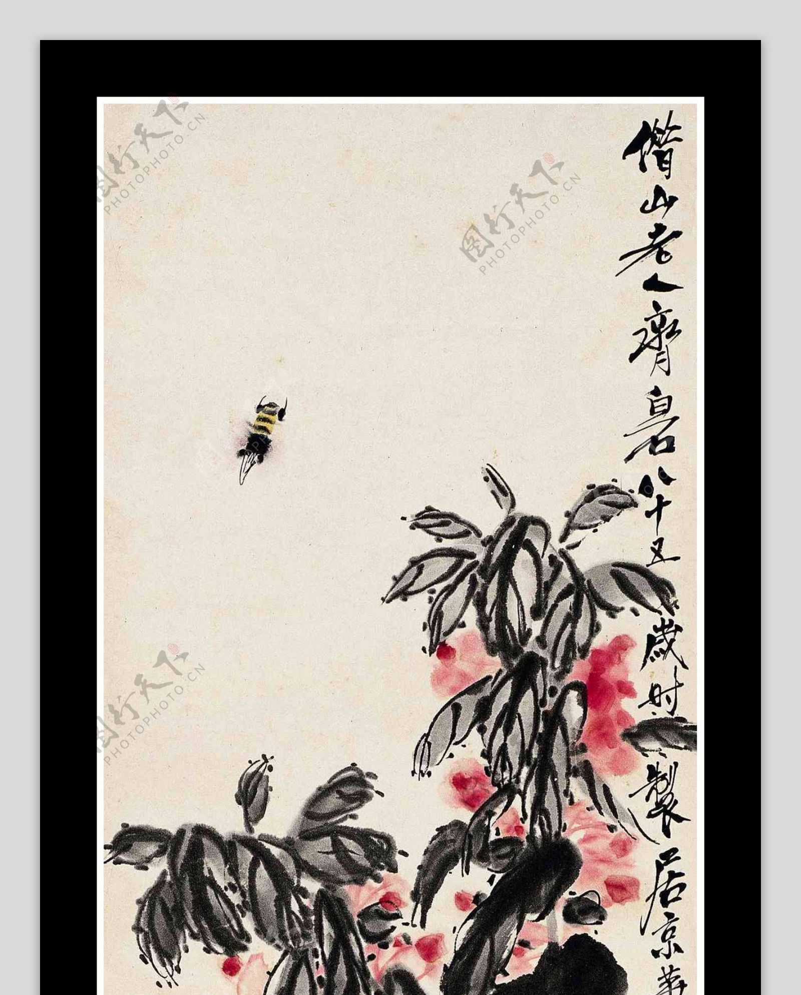 凤仙蜜蜂图片