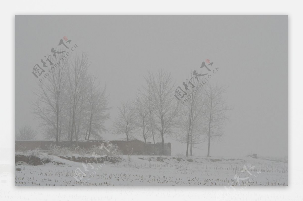 大雪雪景冬天摄影图片