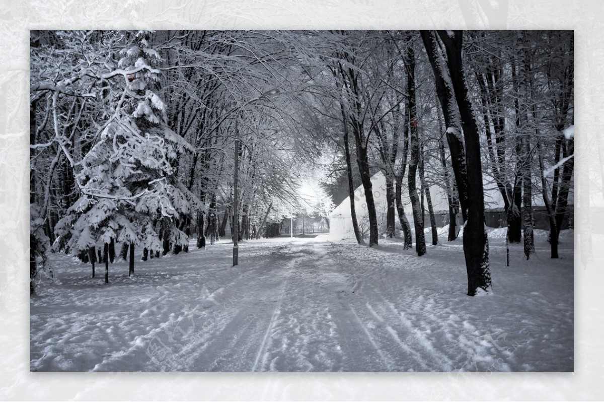 雪景图片