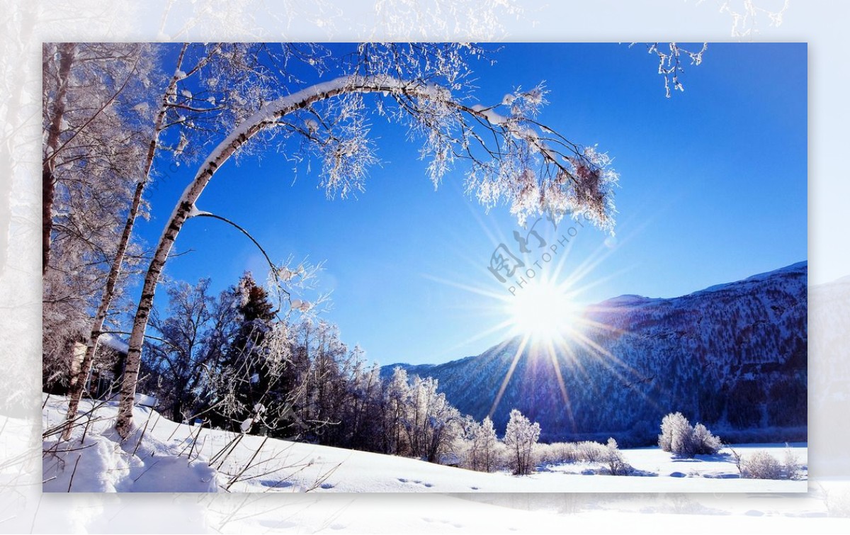 奥林匹克公园雪景图片