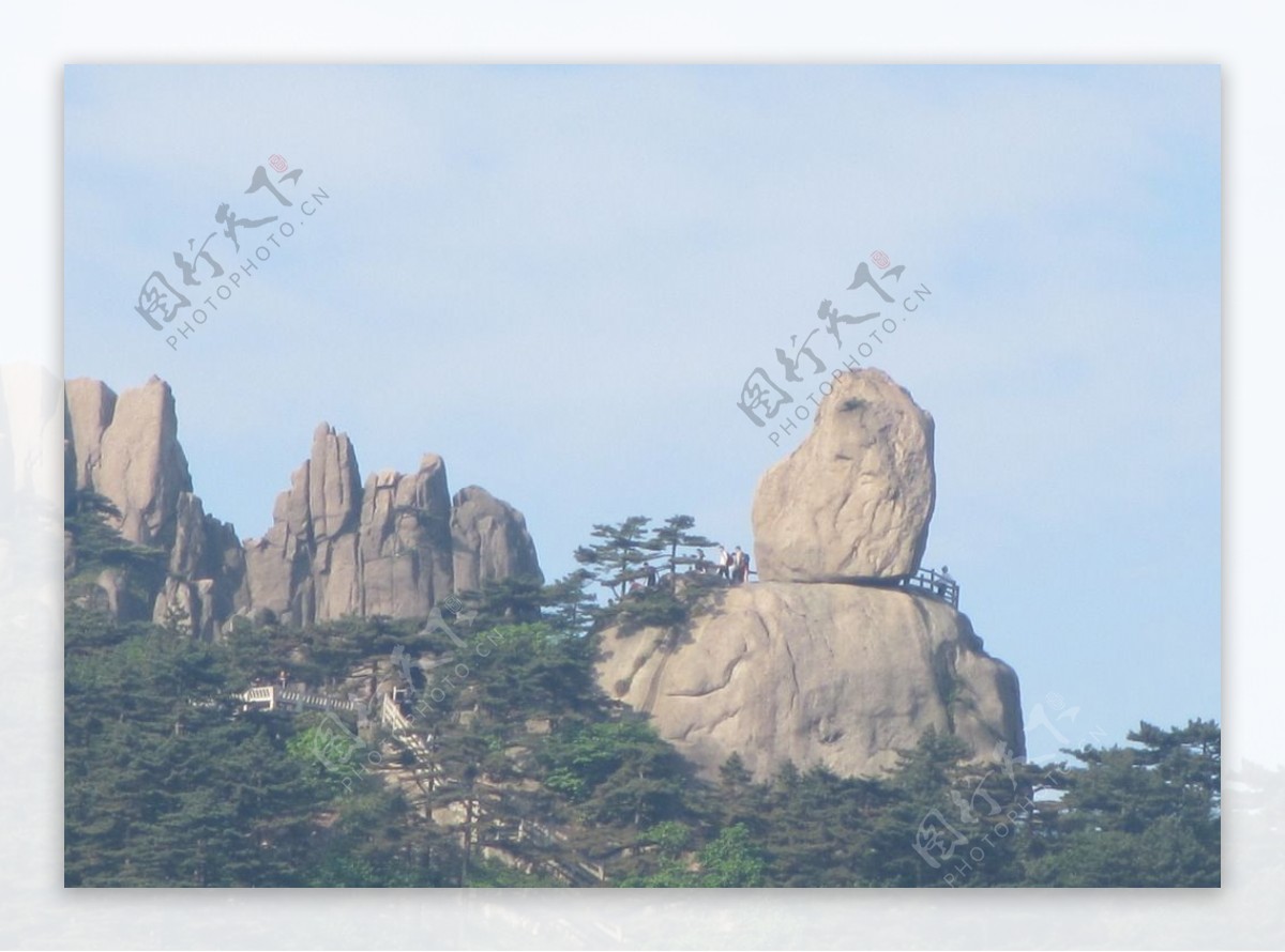 黄山风景区黄山松树图片