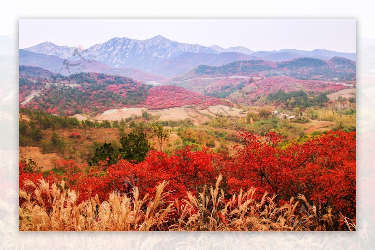 秋天高山非高清图片