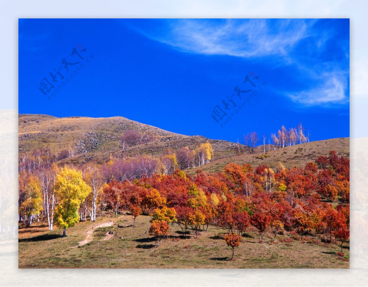 九寨沟最“仙”的景点：秋色宛如彩色梦境，堪称“九寨沟一绝”_保护