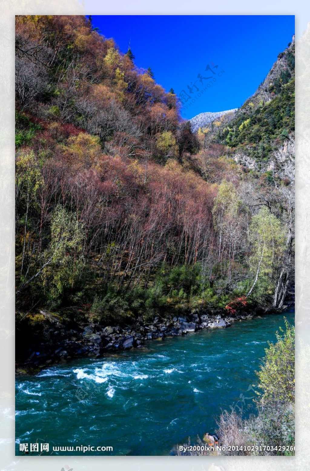 梭磨河大峡谷图片