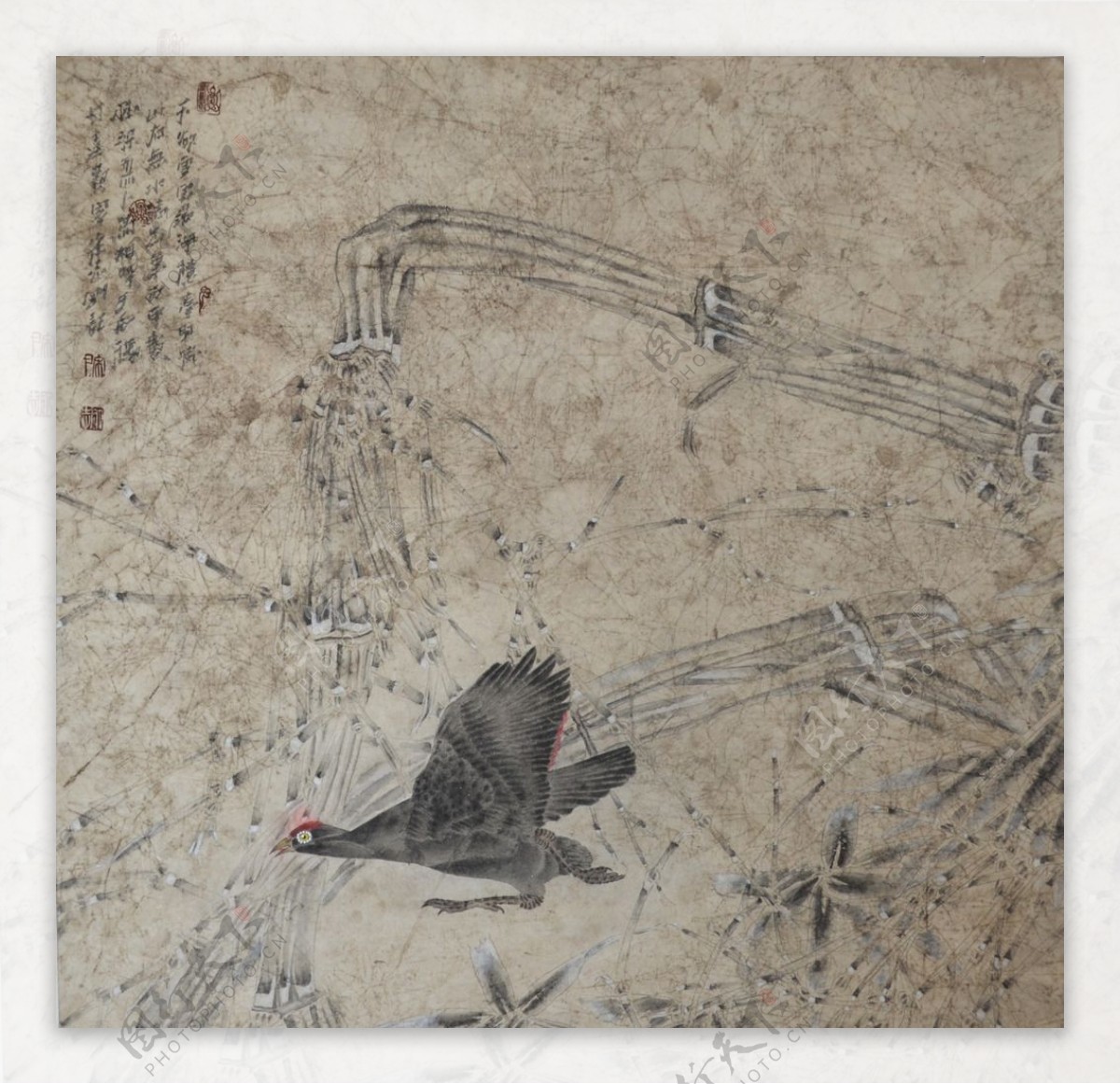 中国画花鸟画作品图片