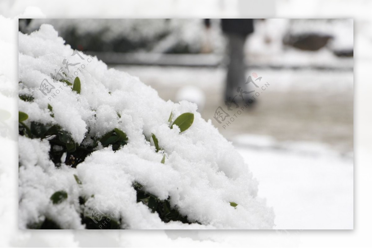 雪景图片