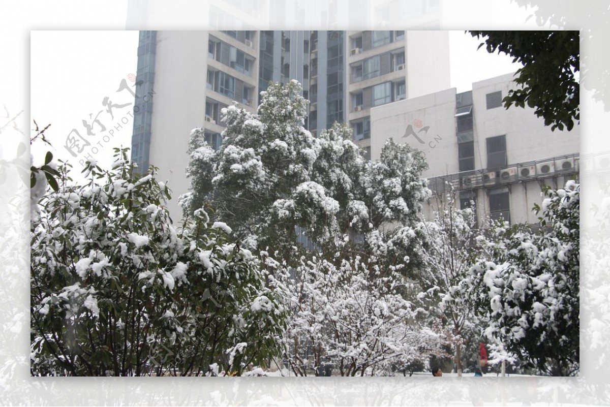 雪景图片