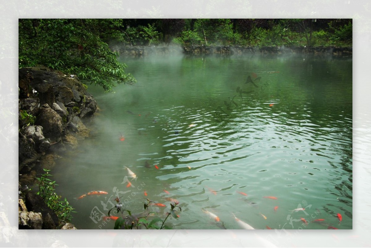 酉阳桃花源图片