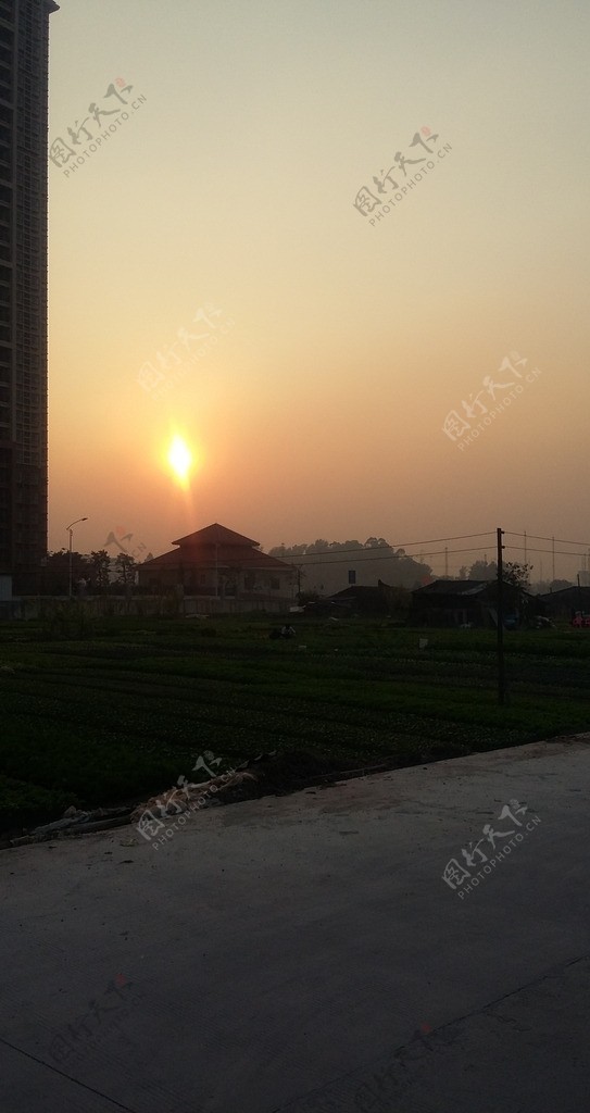 夕阳醉图片