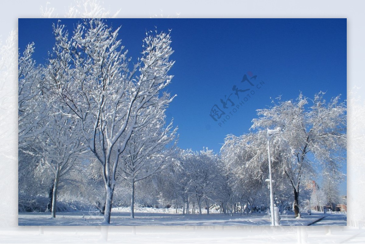 雪后景观图片