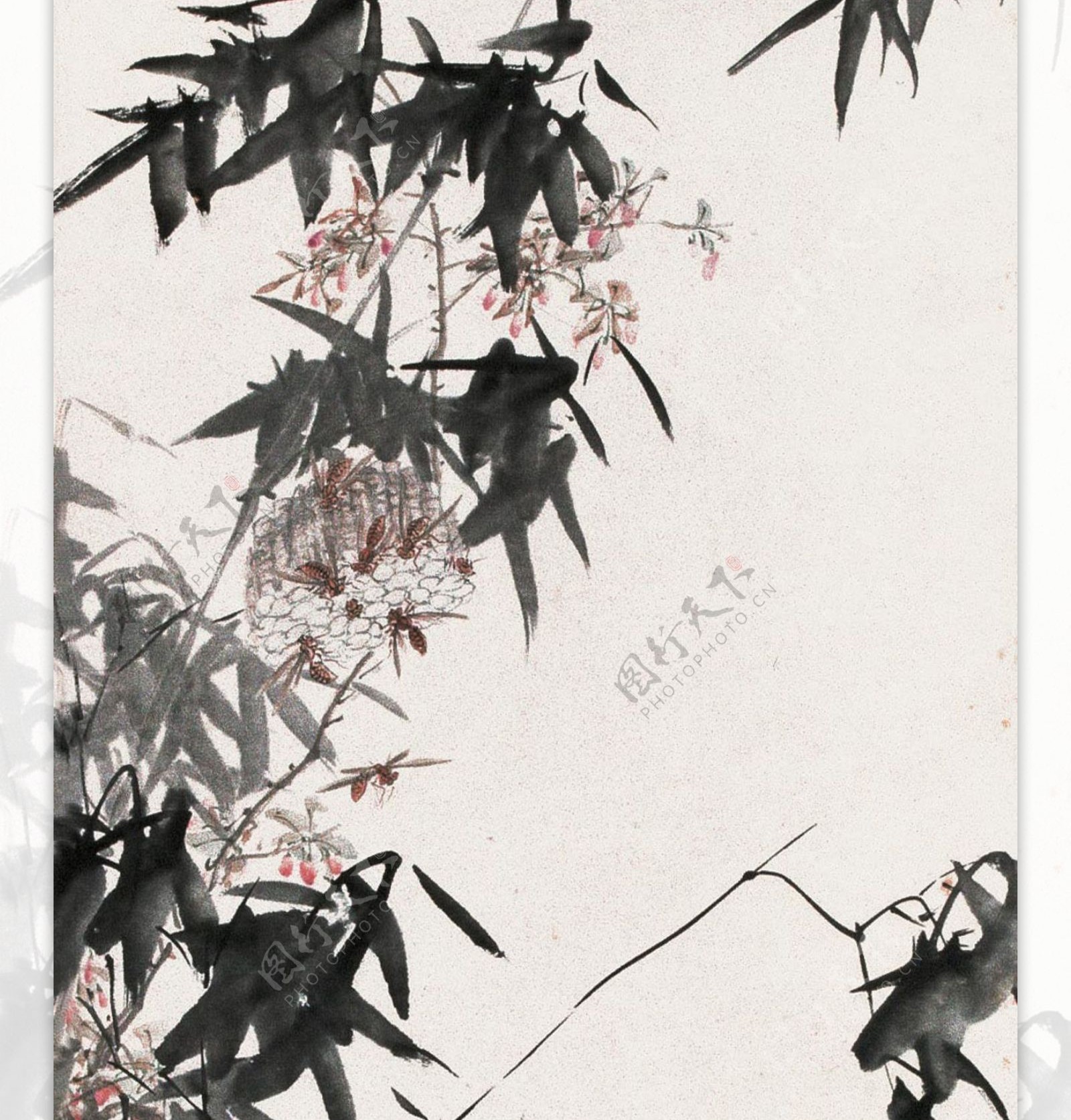竹菊螳螂图图片
