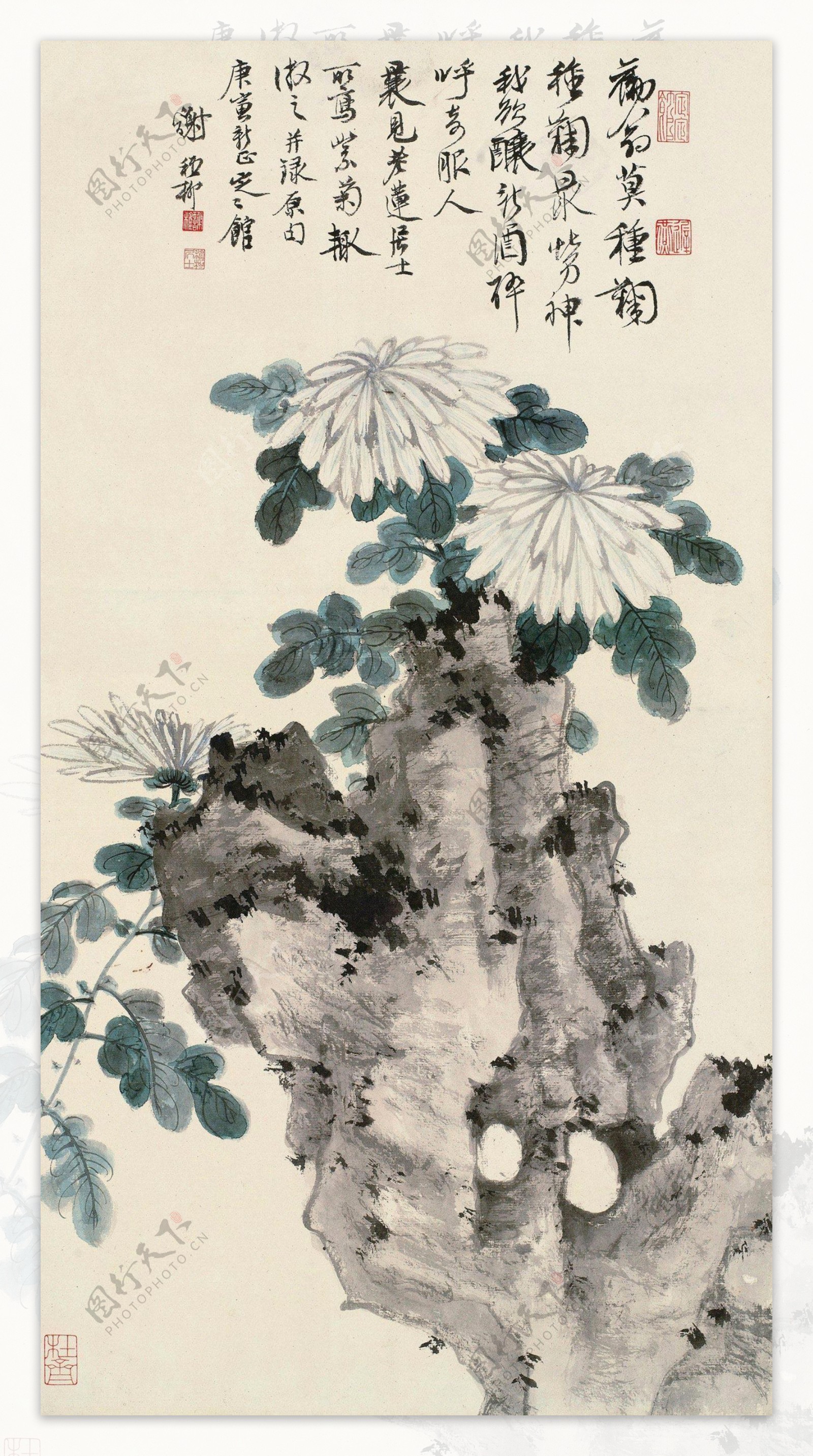 奇石丛菊图图片