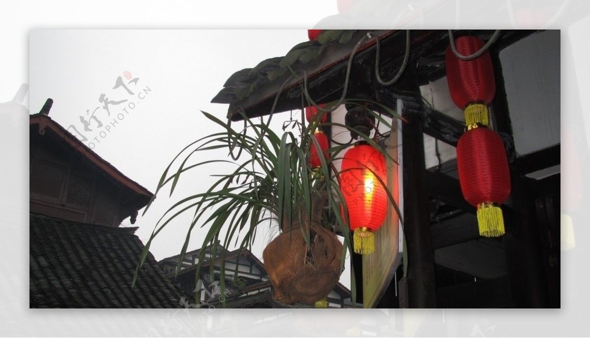 2012春节大红灯笼高高挂图片