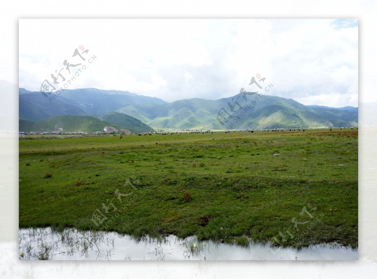 西藏香格里拉山图片