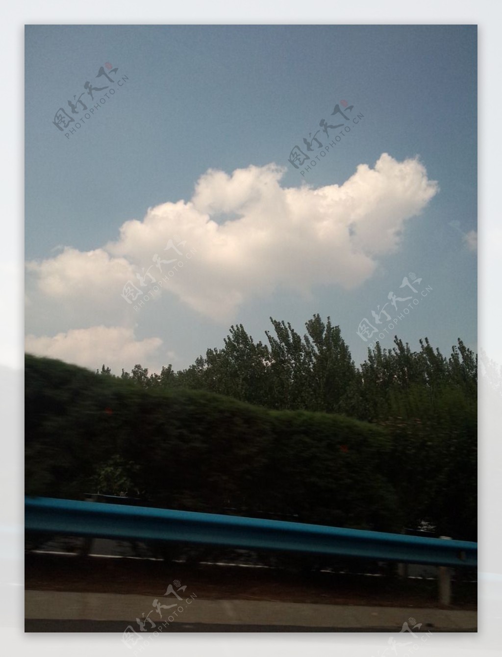 蓝天白云树丛图片