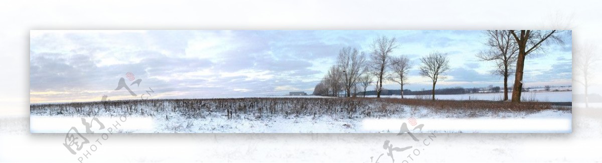 雪地景象图片