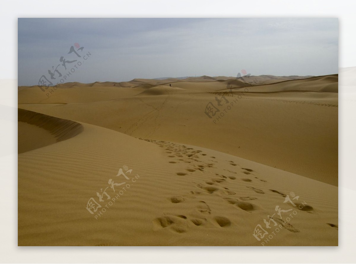 沙漠中的足迹脚印图片