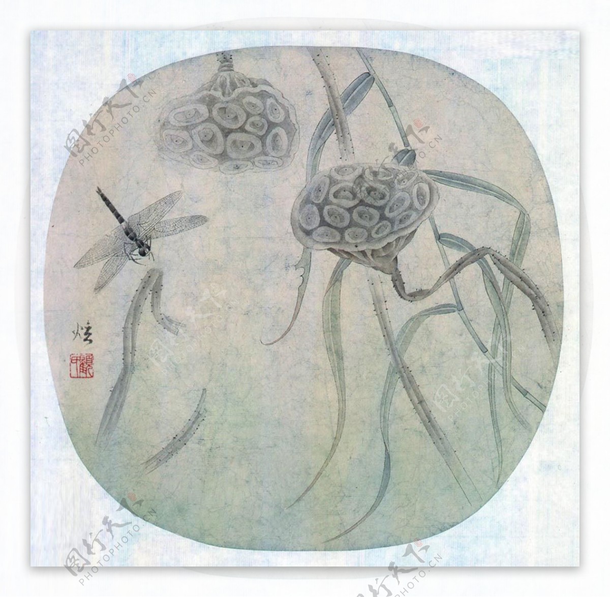现代工笔花鸟蜻蜓图片