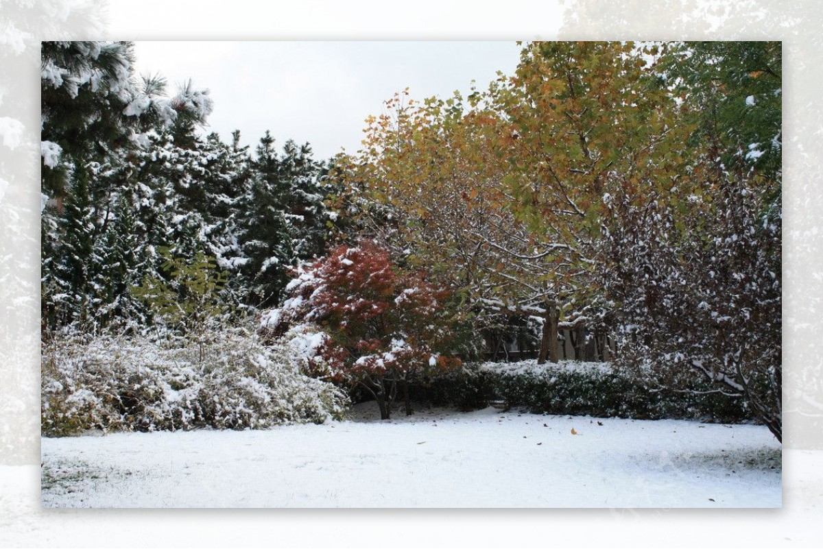 雪景图片