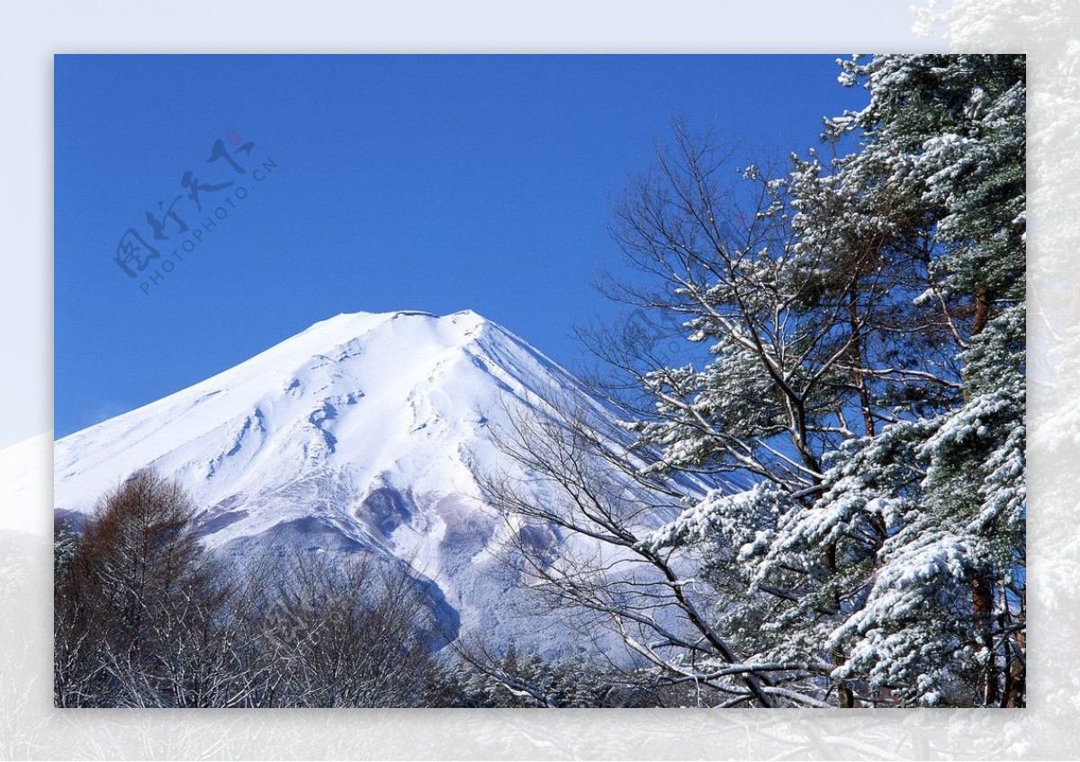 富士山冬景图片