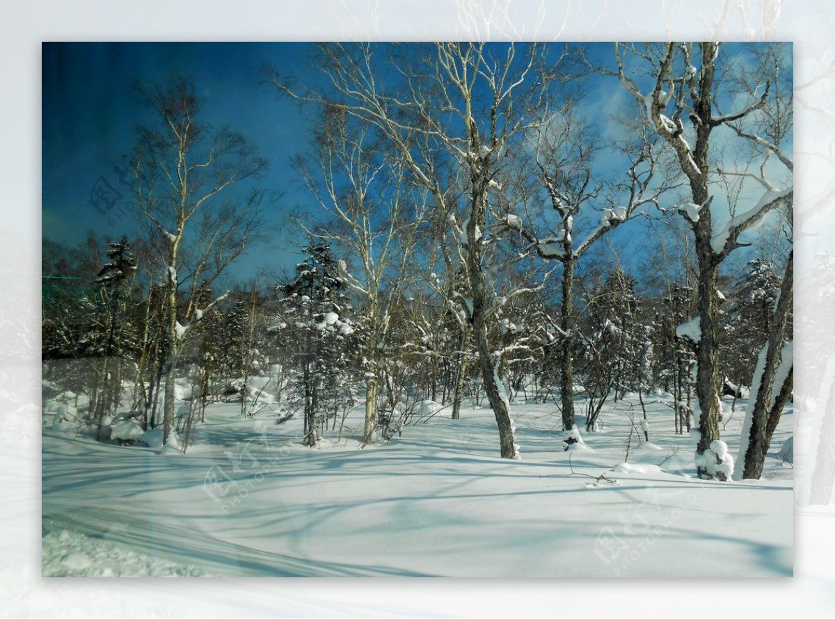 雪景图片