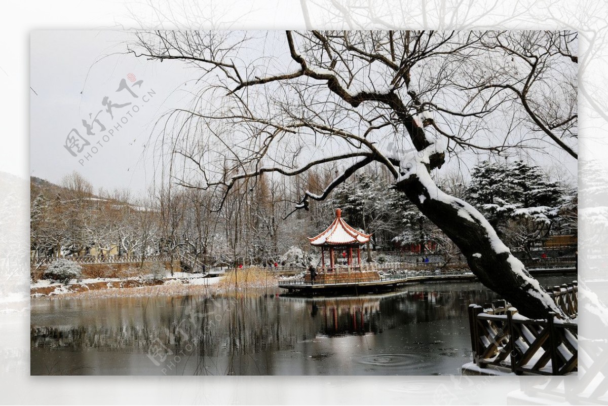 青岛的雪景图片