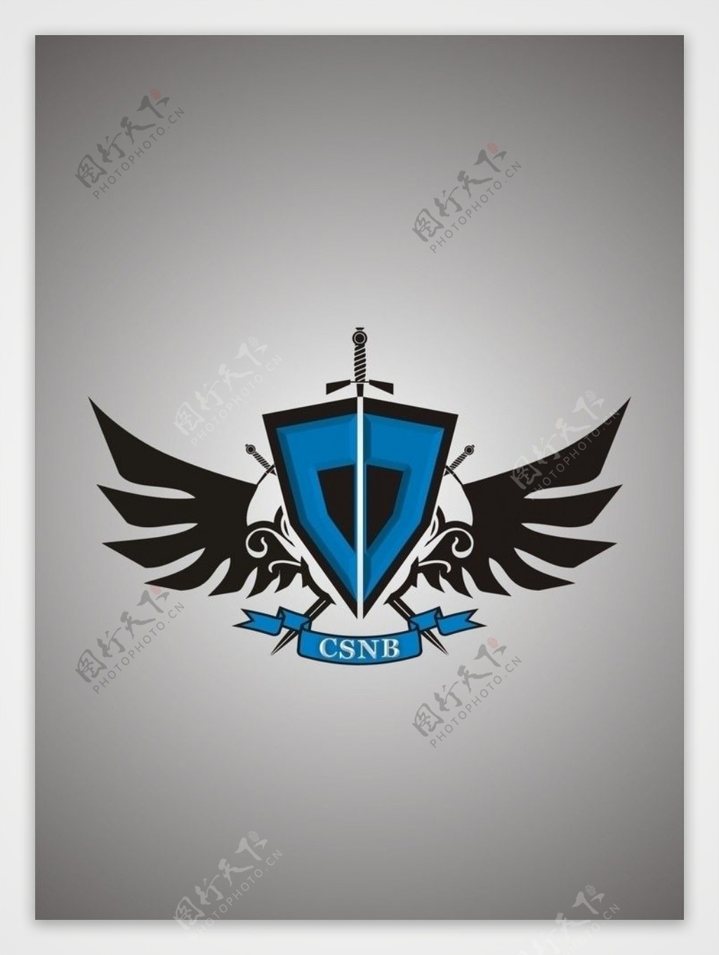 CSNB盾牌标志设计图片