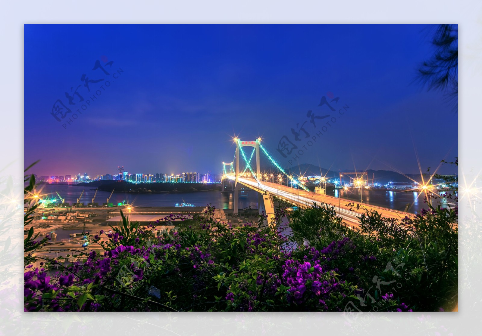 厦门海沧大桥图片