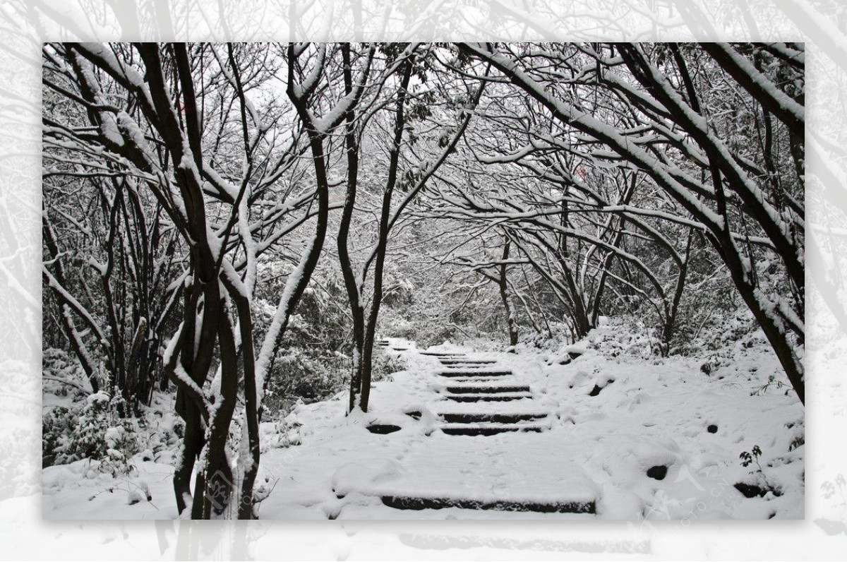 雪景图片