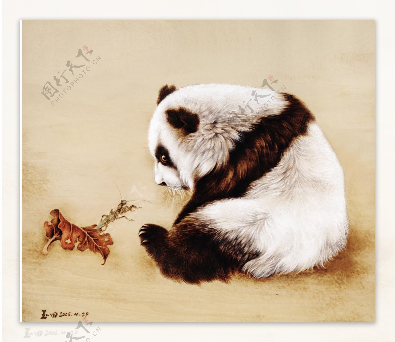 工笔熊猫图片