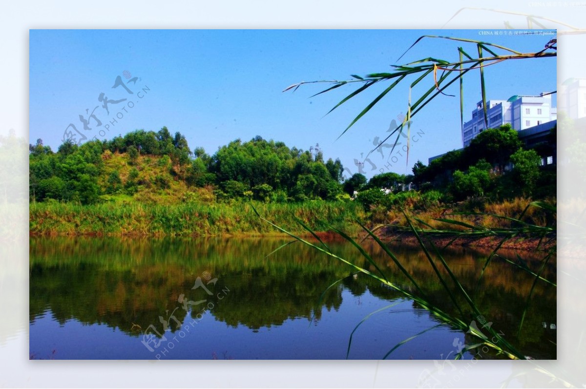 城市山水绿色生态图片