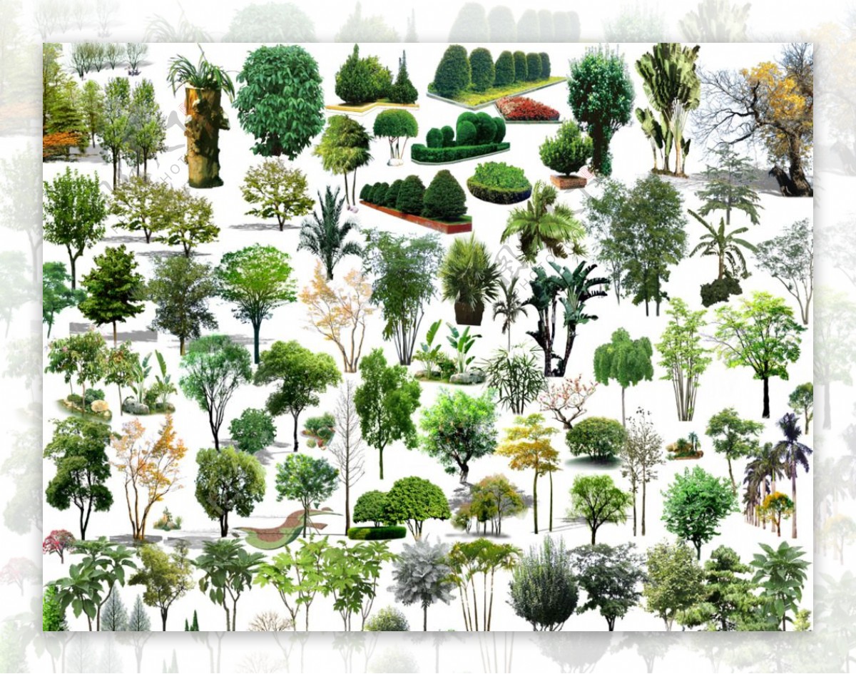 景观植物素材大全图片