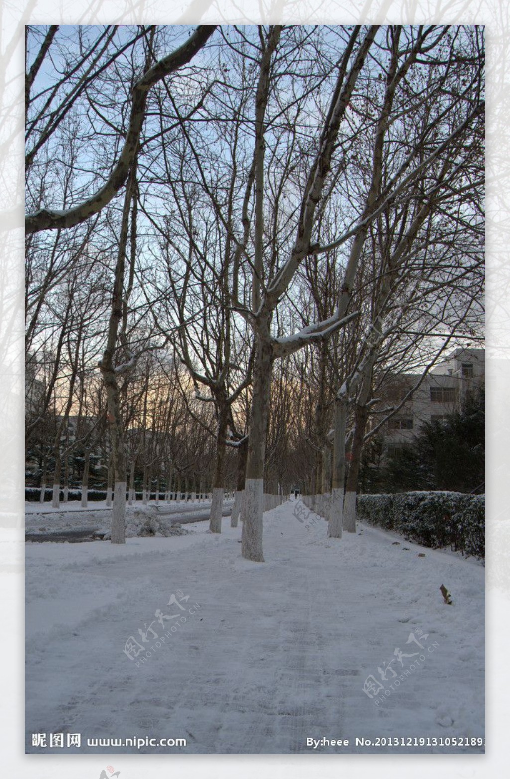 雪后人行道图片