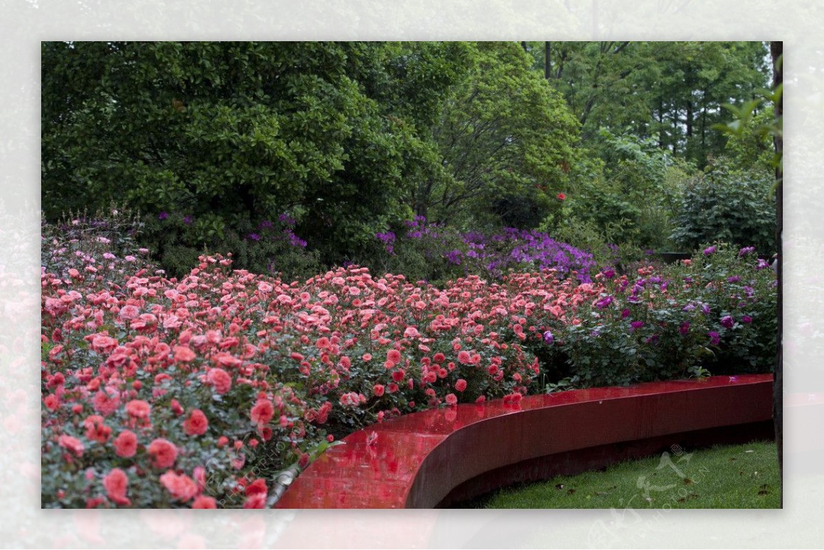 公园小景鲜花图片