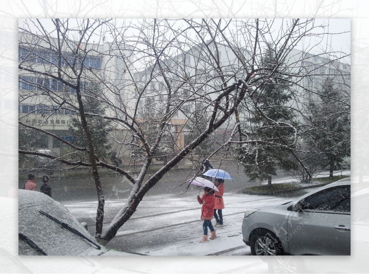 顶风冒雪图片