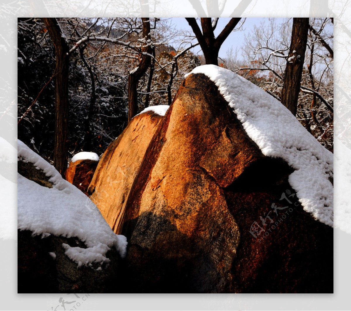 岩石上的雪图片