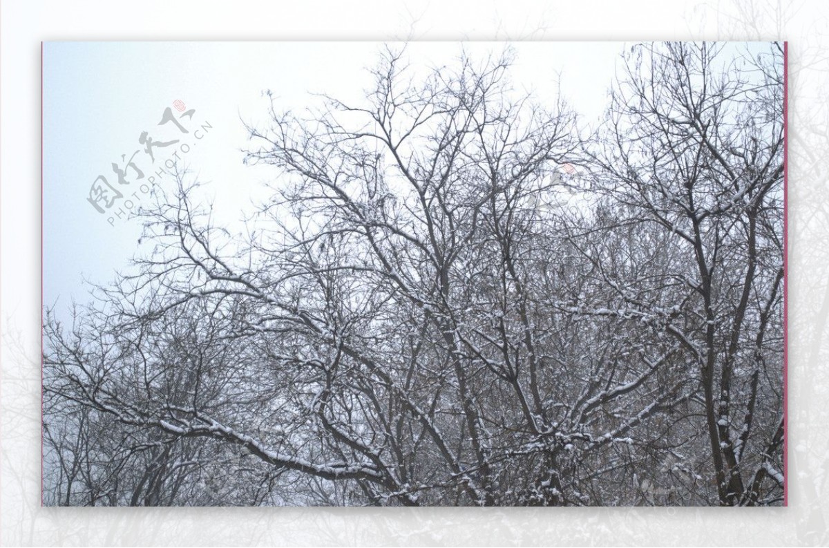 雪景图片