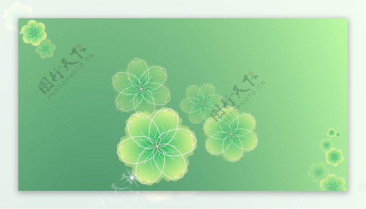 绿色花朵背景图图片