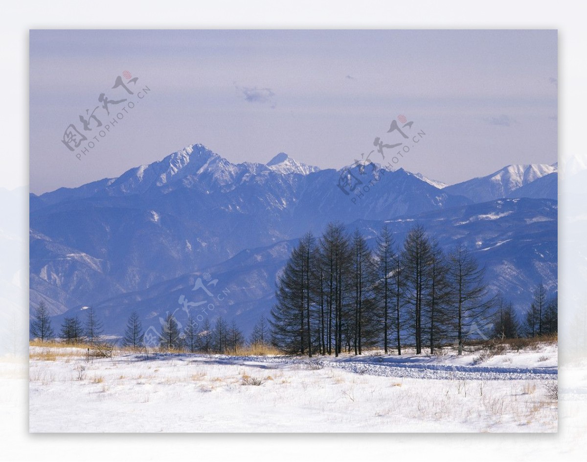 冬日雪景图片